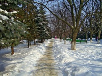Снежный Петровский