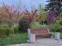 Азовский вечер