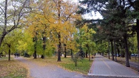 Осенний парк