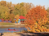 Золотая осень