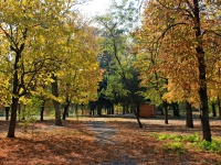 Золотая осень