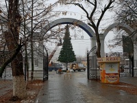 Установка новогодней елки Установка новогодней елки