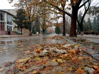 Переменчивая осень Переменчивая осень