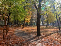 Золотая осень