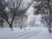 Снегопад