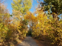 Золотая осень