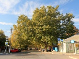 Осенняя пора