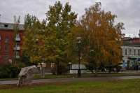 Площадь Петровская