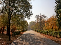 Золотая осень