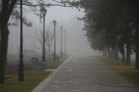 Аллея в Парке Памяти