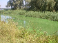 Река Узяк