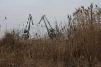 Портальные краны